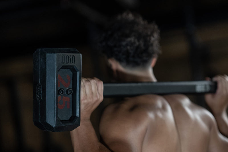 Wod Interchangeable Weight Plates For Wods Odin Sledgehammer