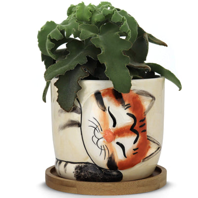 Cat Planter Large Kitty Pot for Indoor Plants Succulents