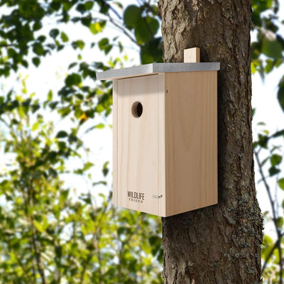 WILDLIFE FRIEND I NEST BOX WITH METAL ROOF ACCORDING TO NABU MADE OF SOLID WOOD FOR CHARCOAL TITS & CO. - WEATHERPROOF