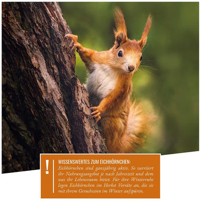 WILD ANIMAL HEART SPECIES-APPROPRIATE SQUIRREL FOOD 2KG FOR SQUIRRELS AND CHIPQUICLES