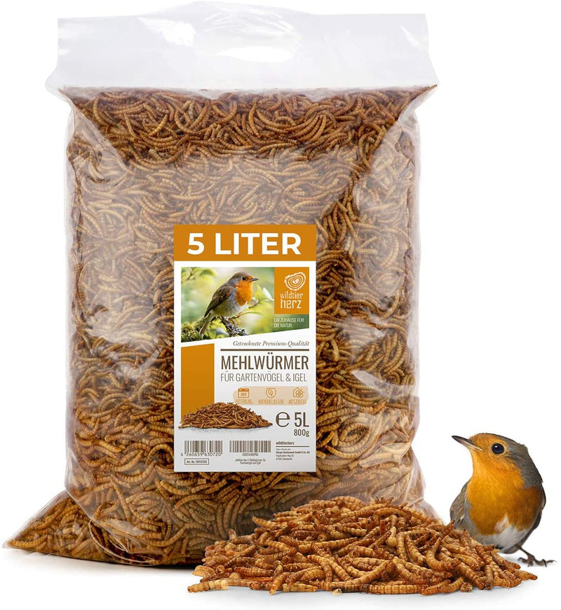 WILD ANIMAL HEART I PRECIOUS DRIED MEALWORMS 5 LITERS I DRIED MEALWORMS FOR BIRDS AND HEDGEHOGS I 800G DRIED MEALWORMS