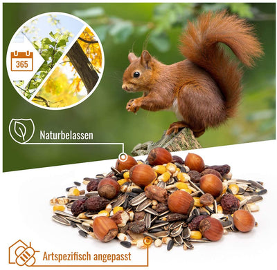 WILD ANIMAL HEART SPECIES-APPROPRIATE SQUIRREL FOOD 1KG FOR SQUIRRELS AND CHIPQUICLES