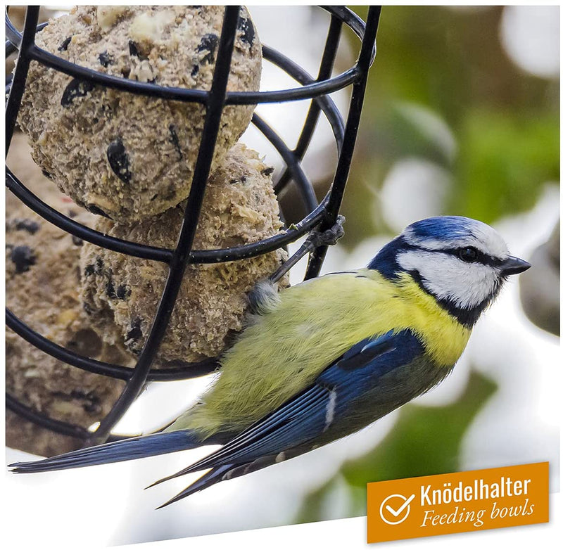 WILD ANIMAL HEART | BIRD DREAM - NATURAL TIT BALLS WITH INSECT FAT WITHOUT A NET I SPECIES-PROPER MADE OF INSECT FAT I QUALITY BIRD FEED FOR WILD BIRDS