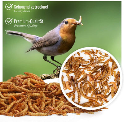 WILD ANIMAL HEART I BIRD Feast - PREMIUM INSECT MIX 2