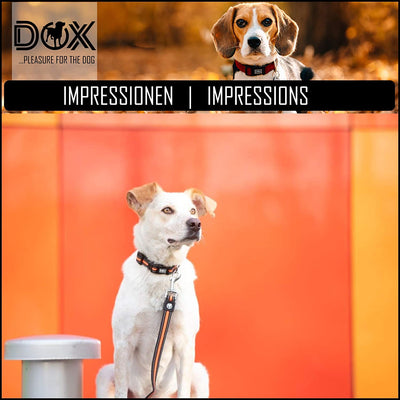 DDOXX DOG COLLAR AIR MESH