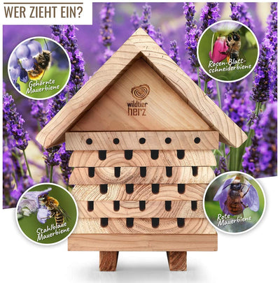 WILD ANIMAL HEART I BEE HOTEL