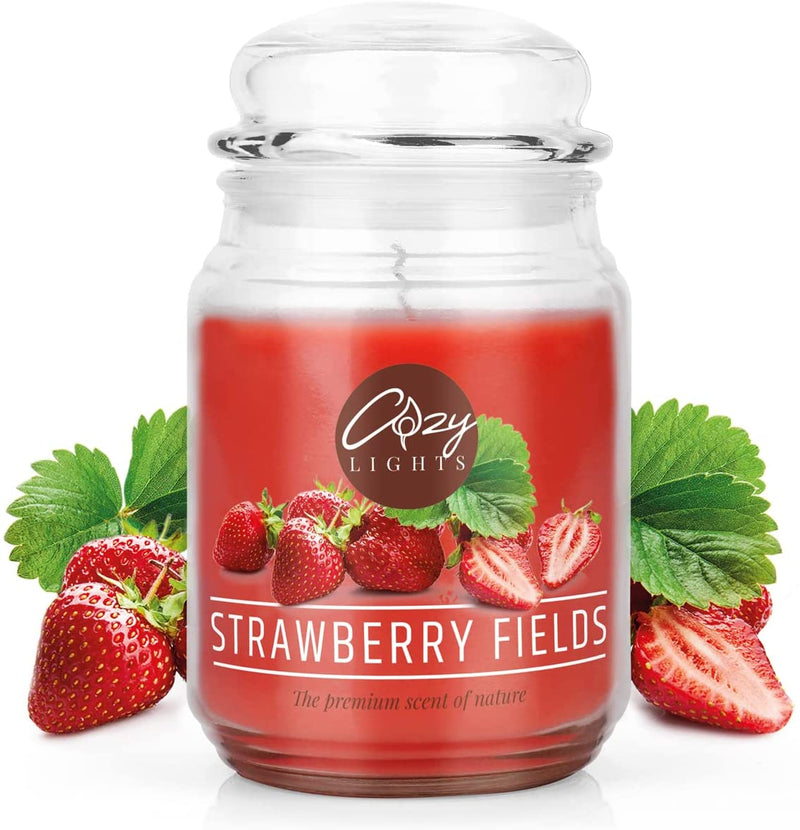 Cozy Lights Large scented candle 625ml Burn time up to 140 hours