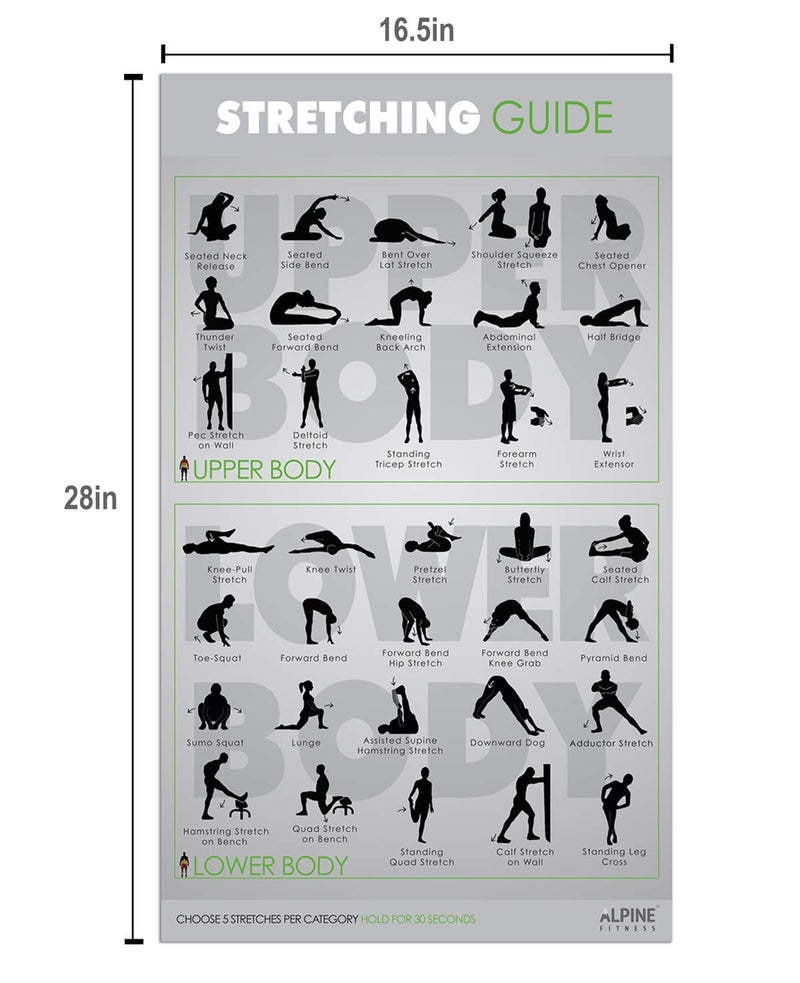 Exercise Fitness Posters Laminated Gym Planner Charts For Good