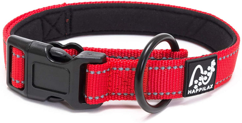 Padded collar for small dogs, adjustable size and reflective