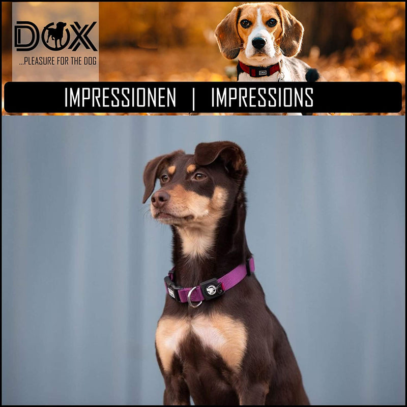 DDOXX NYLON DOG COLLAR