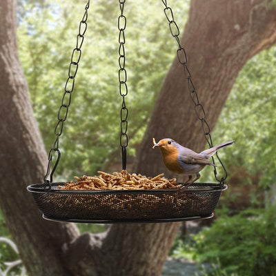 WILDLIFE FRIEND I FEEDER FOR MEALWORMS FOR HANGING Ø 18CM I FEEDING COLUMN FOR BIRDS