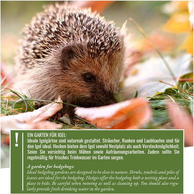 WILD ANIMAL HEART I SPECIES-appropriate hedgehog food 1 kg – special food for hedgehogs with an extra portion of protein for optimal energy supply