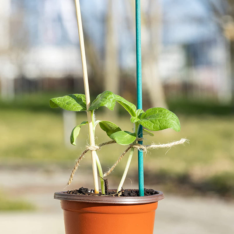 Plant tie green 20m jute cord and 40 bamboo sticks in a set as natural