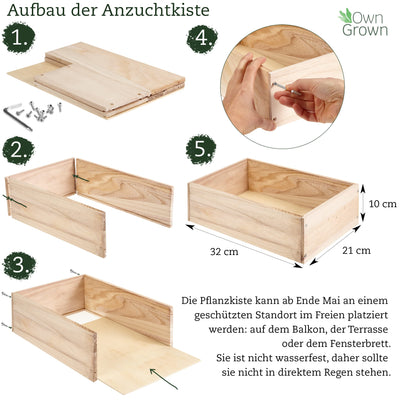 Seed growing set with wooden box and 8 types of plants seeds children's growing set