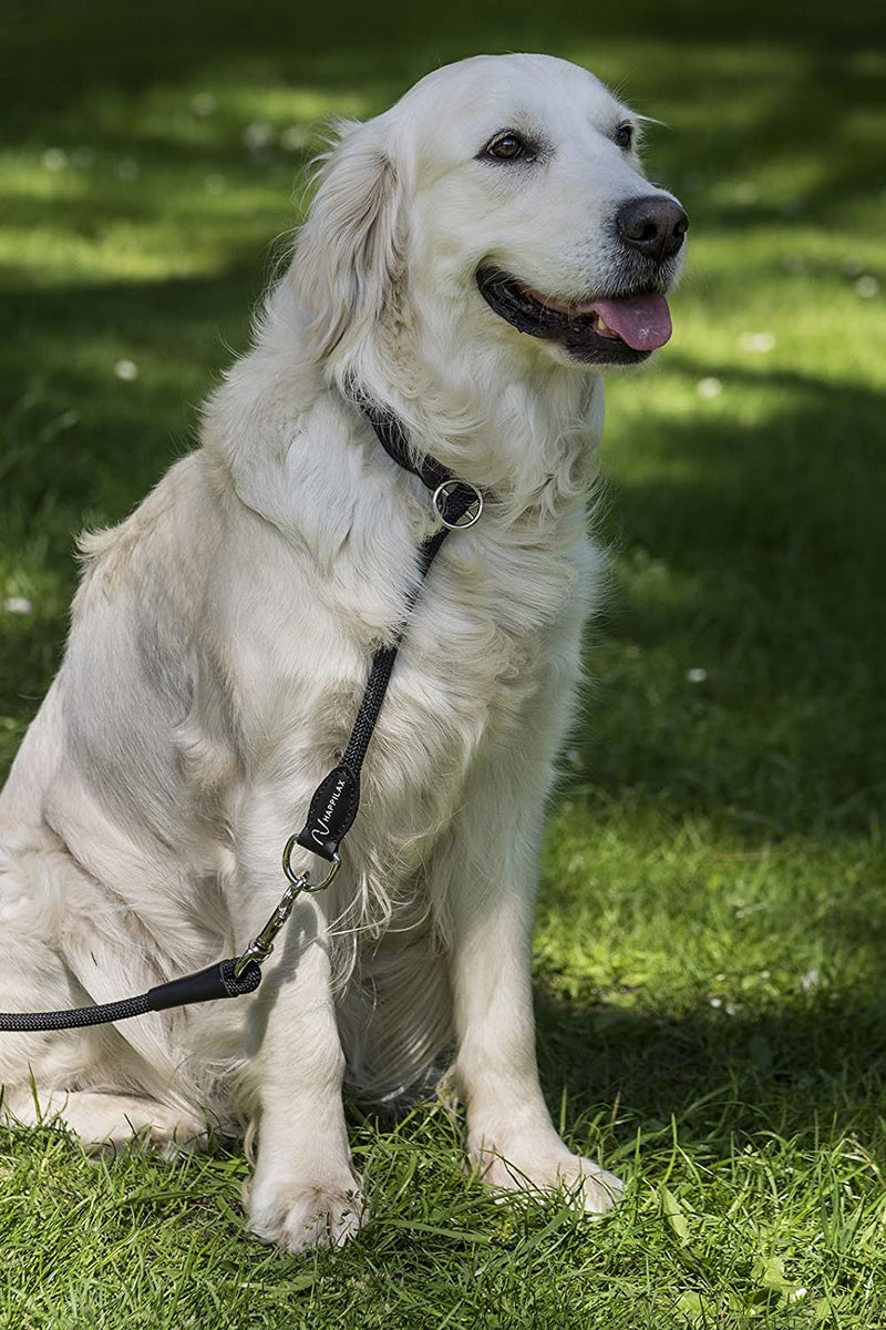 HAPPILAX DOG COLLAR MADE OF BRAIDED ROPE WITH ADJUSTABLE STOPPER