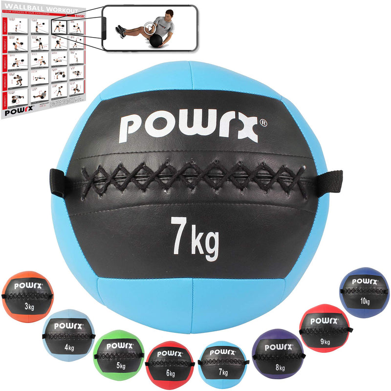 Wallball weight ball medicine ball Deluxe Professional 210 kg various colors