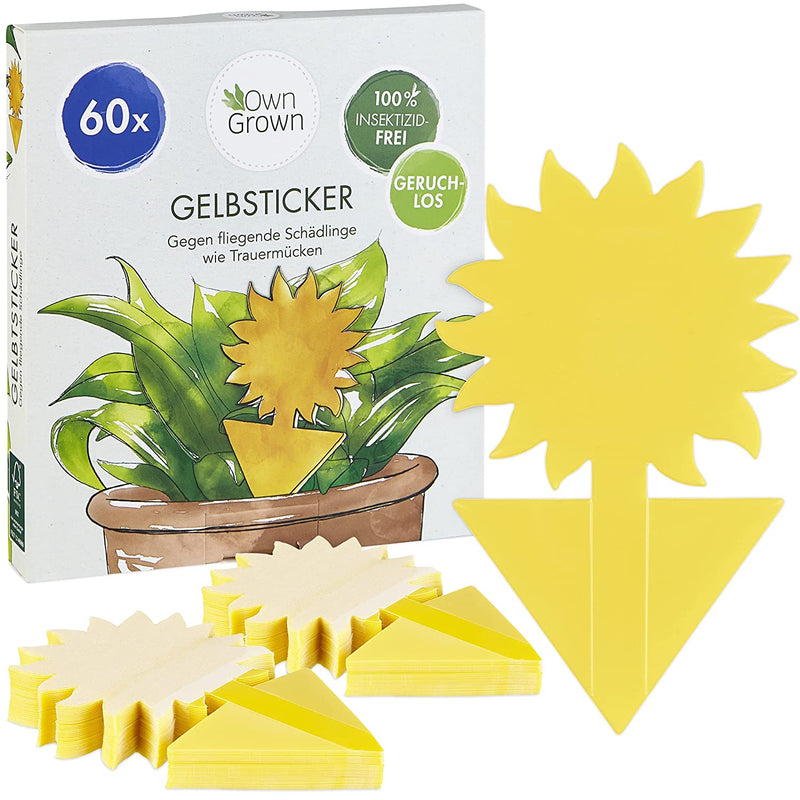 Yellow sticker fungus gnats 60x insecticide-free adhesive trap for houseplants