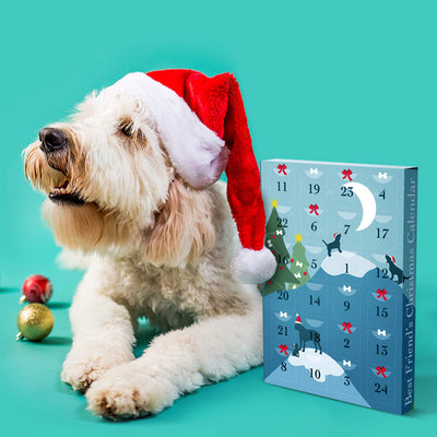 DDOXX ADVENT CALENDAR FOR DOGS 2022