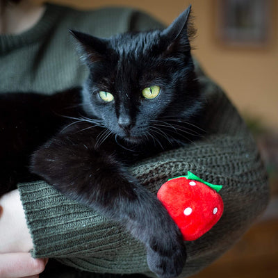 PRETTY KITTY CAT TOY SET: 2X XXL PLUSH STRAWBERRY WITH CATMINT AND BELLS AS TOYS FOR CATS -