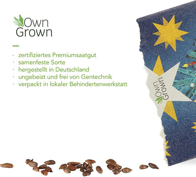 OWNGROWN CHRISTMAS TREE SEED GIFT SET: PREMIUM SEED GIFT SET FOR PLANTING CHRISTMAS TREE WITH BLUE SPRUCE SEEDS AND NORDMAN FIR SEEDS -