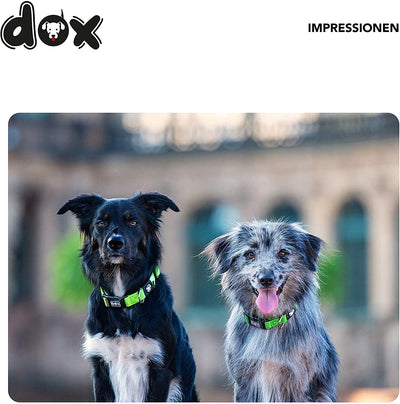 DDOXX NYLON DOG COLLAR