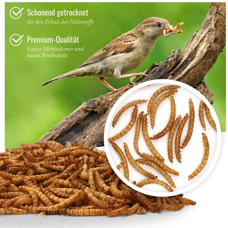 WILD ANIMAL HEART I PRECIOUS DRIED MEALWORMS 5 LITERS I DRIED MEALWORMS FOR BIRDS AND HEDGEHOGS I 800G DRIED MEALWORMS