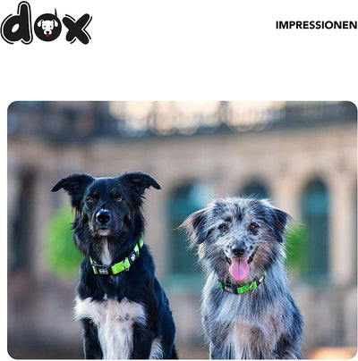 DDOXX NYLON DOG COLLAR