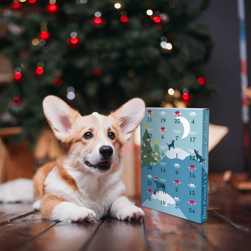 DDOXX ADVENT CALENDAR FOR DOGS 2022