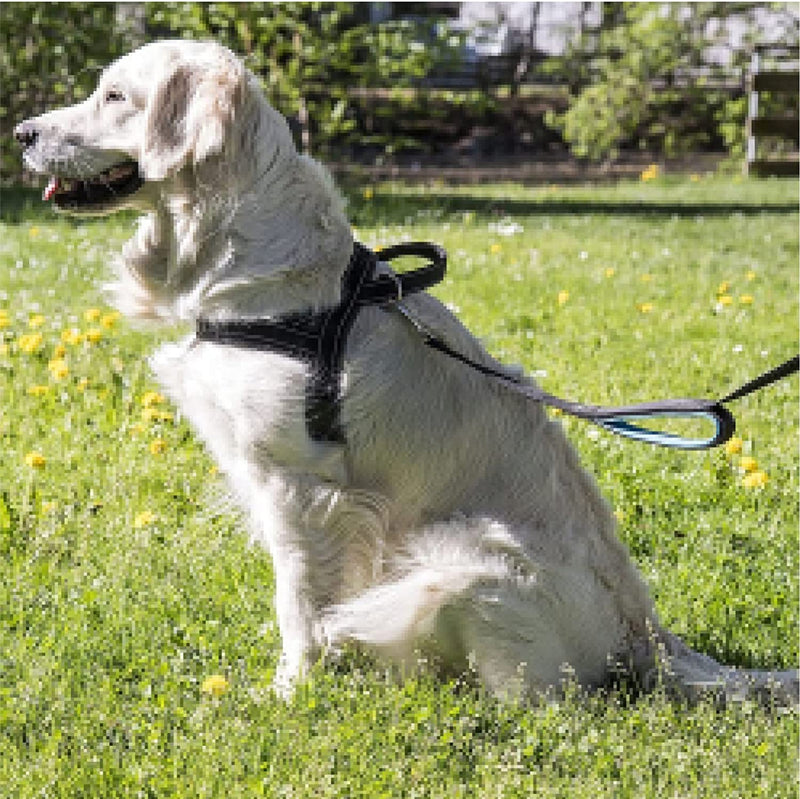 Padded Norwegian Harness for Medium and Medium Dogs Reflective