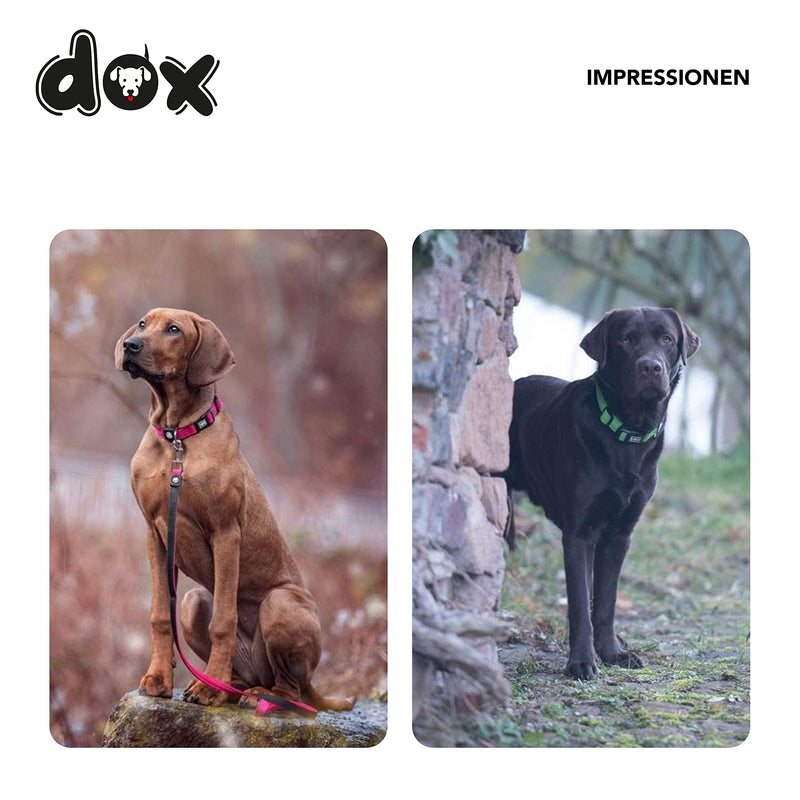 DDOXX DOG COLLAR AIR MESH