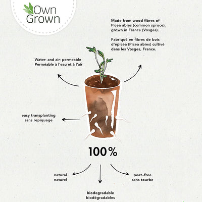 OWNGROWN PLANT POTS BIODEGRADABLE: SET OF 60 PLANTING POTS