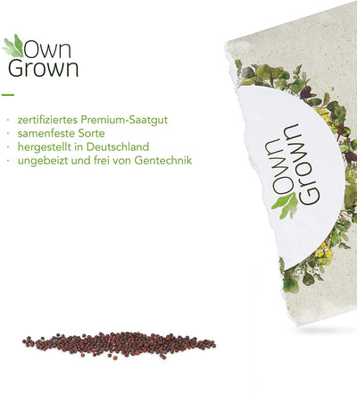 Microgreens Mustard Seeds 600 Organic Mustard Seeds for Easy Growing of Sprouts