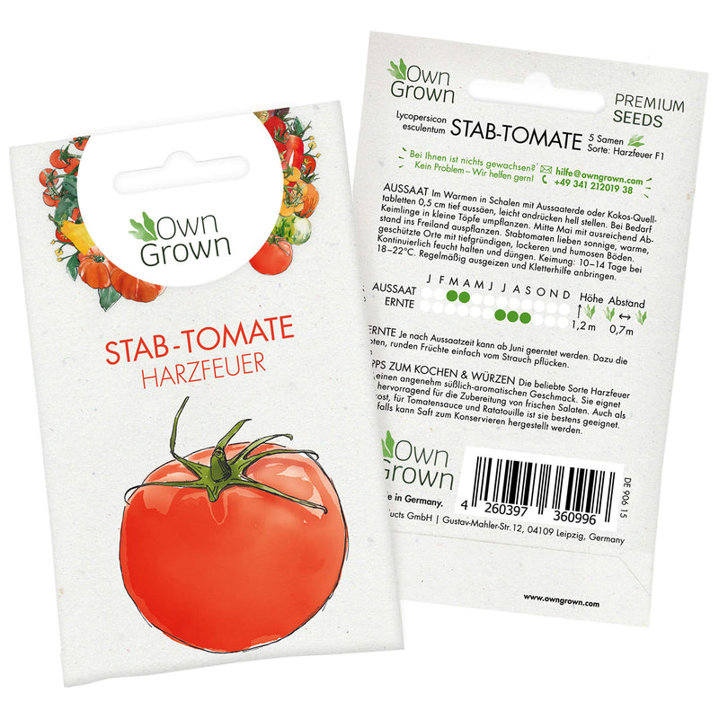 Tomato Seeds Mexican Honey Tomato Cocktail Tomato Seeds For Easy Growing