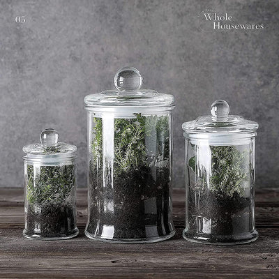 WHOLE HOUSEWARES GLASS PHARMACY JARS WITH LIDS - SET OF 3 - SMALL GLASS JARS FOR BATHROOM STORAGE / COTTON SWAB HOLDER