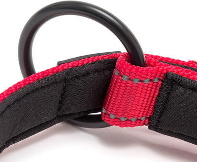 Padded collar for small dogs, adjustable size and reflective