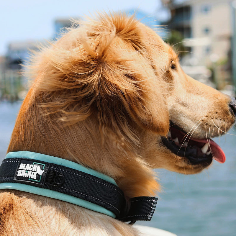 The Comfort Collar Soft Neoprene Padded Dog Collar