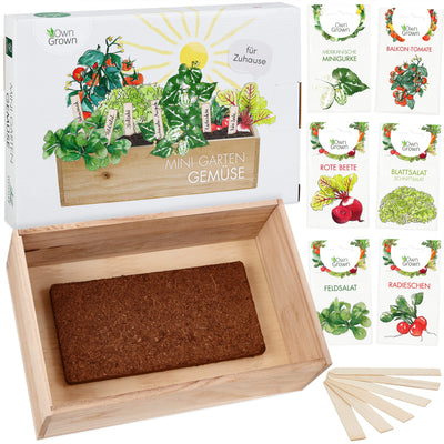 Seed growing set with wooden box and 8 types of plants seeds children's growing set