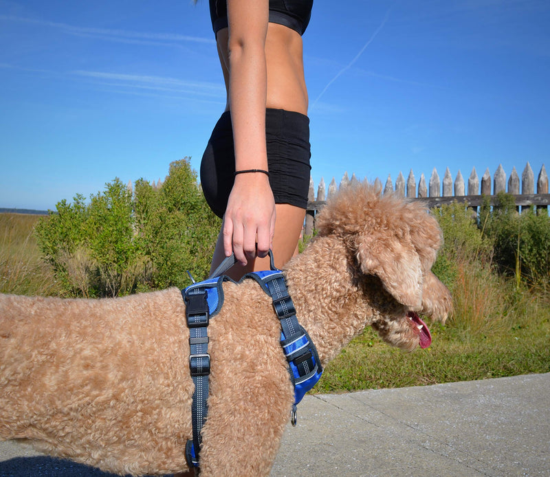 The comfort dog harness with mesh padded vest for small large breeds