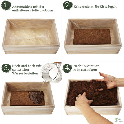 Seed growing set with wooden box and 8 types of plants seeds children's growing set