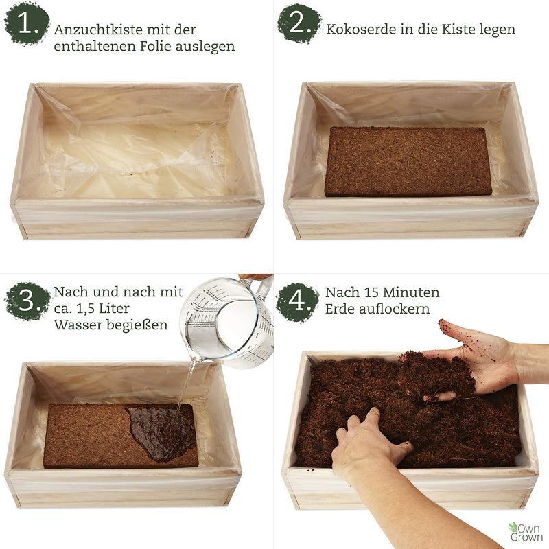 Seed growing set with wooden box and 8 types of plants seeds children&