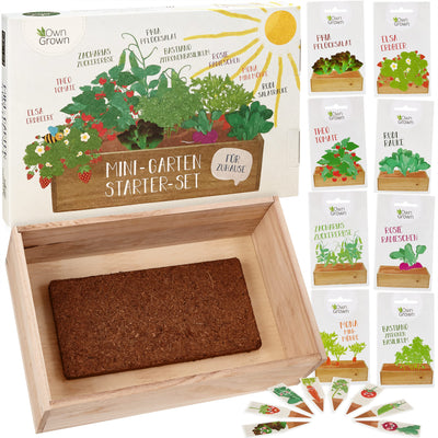 Seed growing set with wooden box and 8 types of plants seeds children's growing set