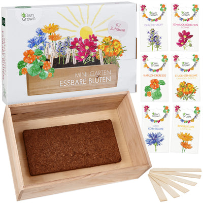 Seed growing set with wooden box and 8 types of plants seeds children's growing set