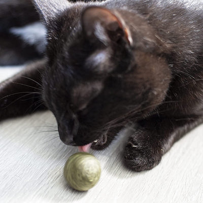 PRETTY KITTY 2X CATnip BALL HAND ROLLED