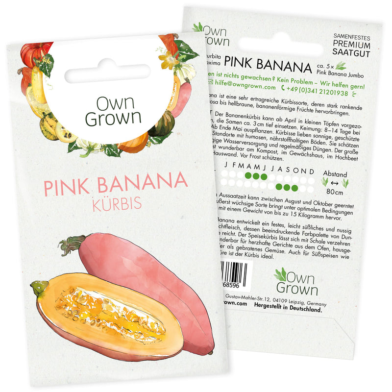 OWNGROWN BANANA PUMPKIN SEEDS: PREMIUM PINK BANANA PUMPKIN SEEDS FOR GROWING 5 PUMPKIN PLANTS - BANANA PUMPKIN VEGETABLE SEEDS