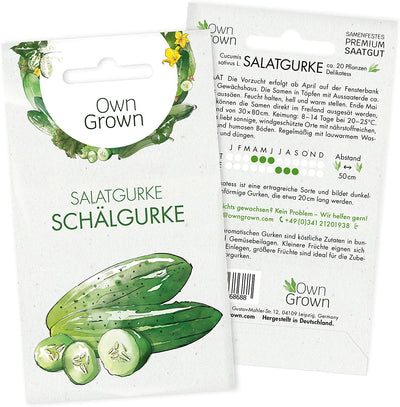 Mini Cucumber Seeds 5 Cucumber Seeds for Mexican Mini Cucumber Vegetable Seeds