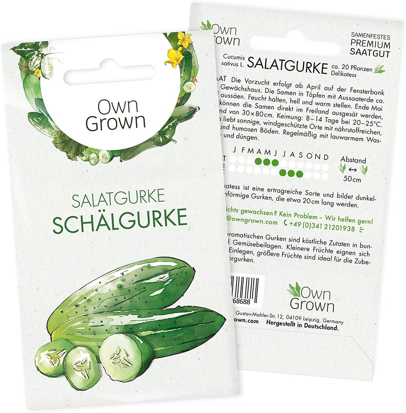 Mini Cucumber Seeds 5 Cucumber Seeds for Mexican Mini Cucumber Vegetable Seeds