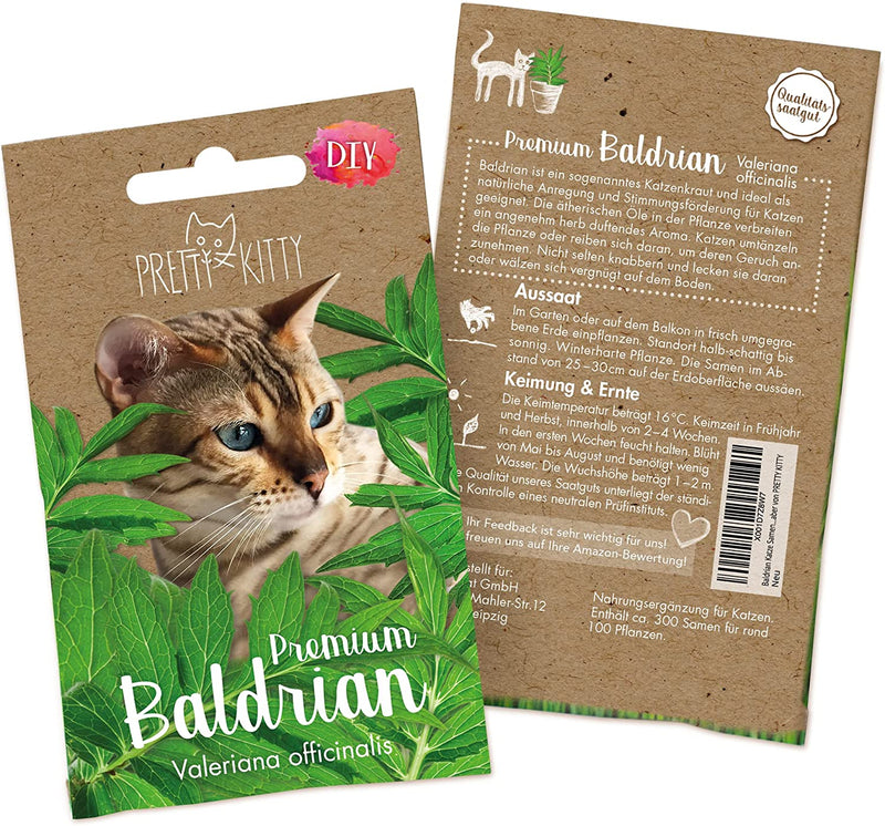 PRETTY KITTY VALERIAN SEEDS: PREMIUM VALERIAN SEEDS FOR CATS FOR APPROX. 50 VALERIAN PLANTS HARDY – IDEAL FOR CAT TOYS