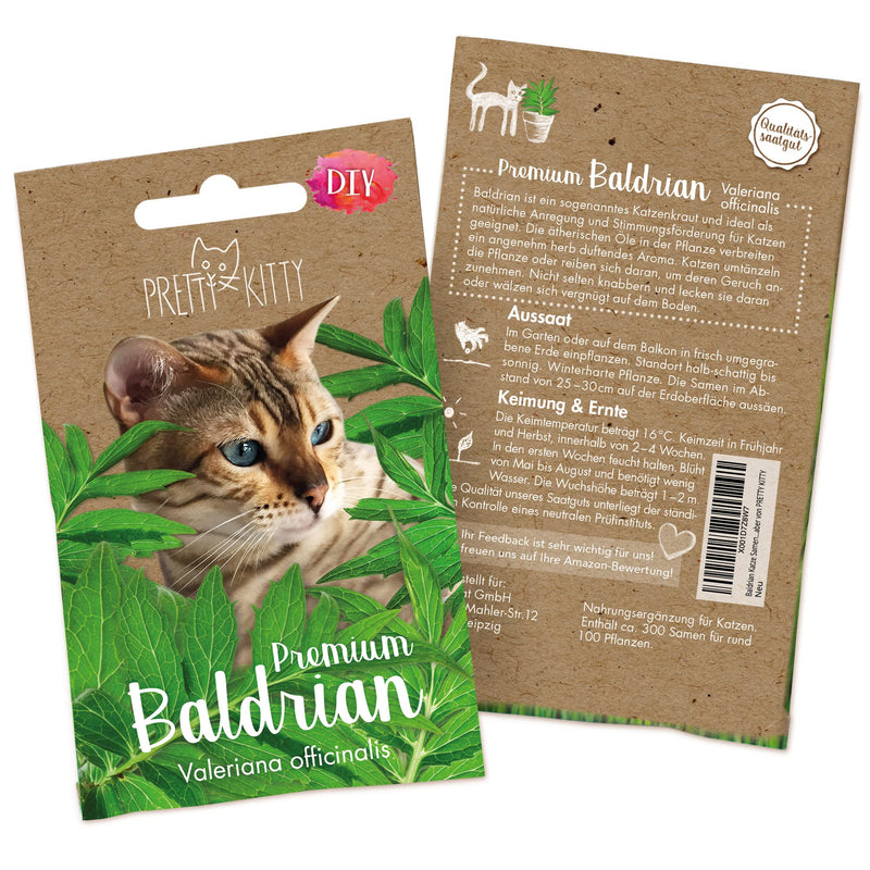 PRETTY KITTY VALERIAN SEEDS: PREMIUM VALERIAN SEEDS FOR CATS FOR APPROX. 50 VALERIAN PLANTS HARDY – IDEAL FOR CAT TOYS