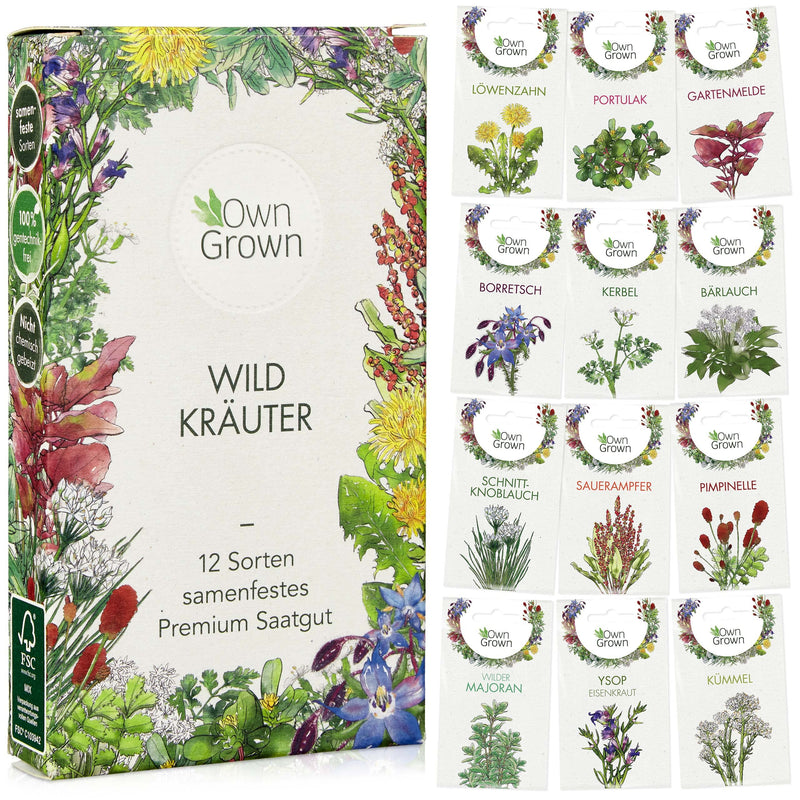 OWNGROWN WILD HERB SEEDS SET: 12 TYPES OF WILD HERB SEEDS FOR BALCONY AND GARDEN - WILD Garlic SEEDS