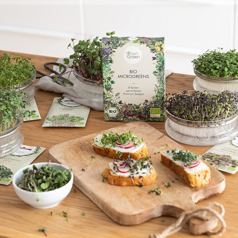 OWNGROWN MICROGREENS SEED SET: 8 VARIETIES OF ORGANIC SPROUTS AND MICROGREEN SEEDS IN THE MICROGREENS STARTER SET – ALFALFA SEEDS